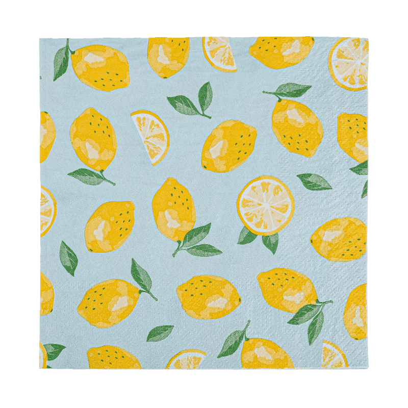 33x33 Volledige afdrukkende 2-laags papier servetten papier Friut Patroon SJ5101